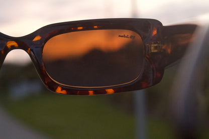 Mr Salmon Slick Salmon Tortoise sunglasses – lifestyle worn NZ