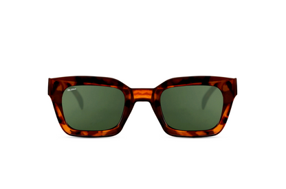 Mr Salmon Butterfly sunglasses tortoise – NZ fashion eyewear front view